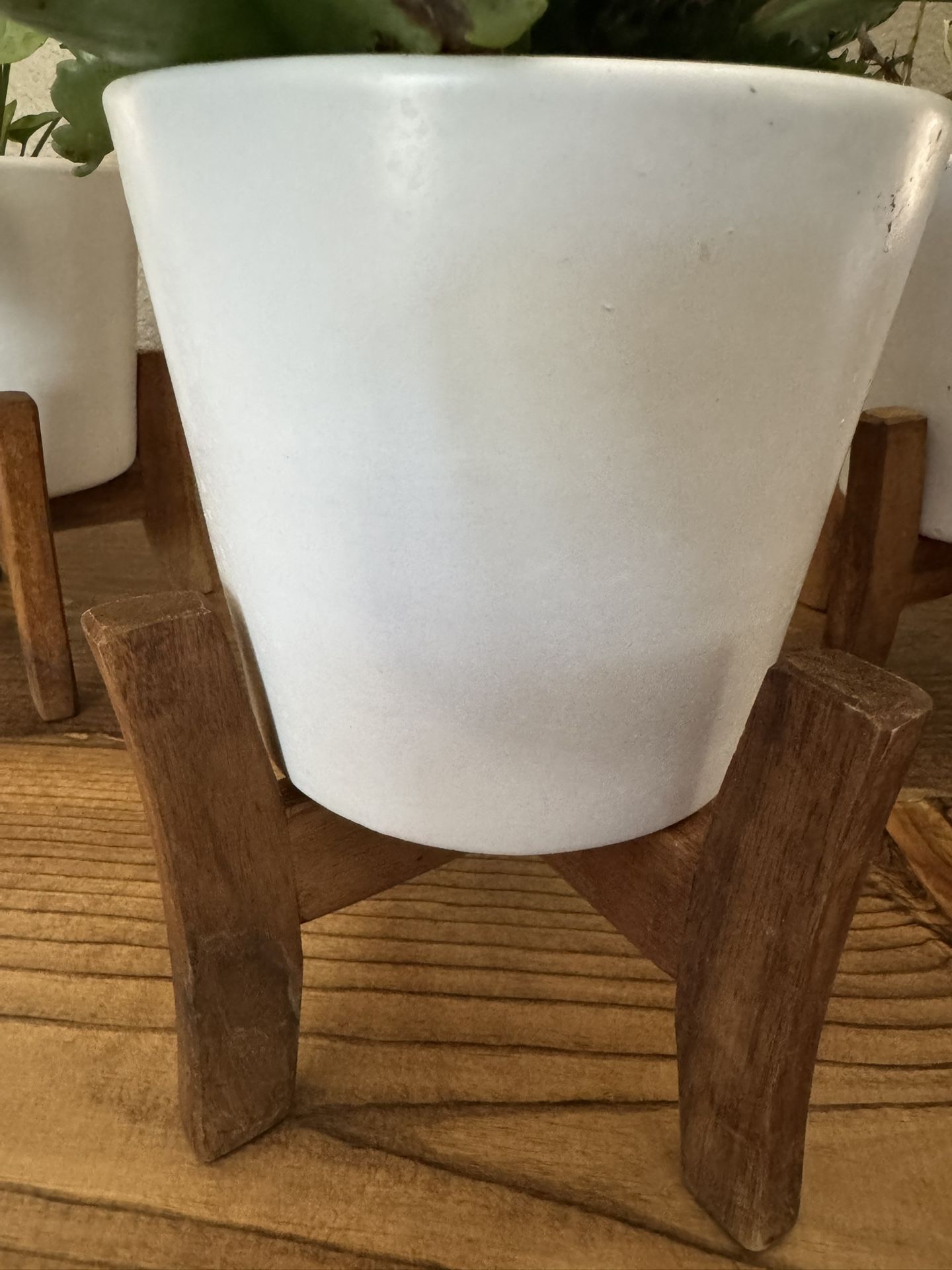 Small Plant Pots