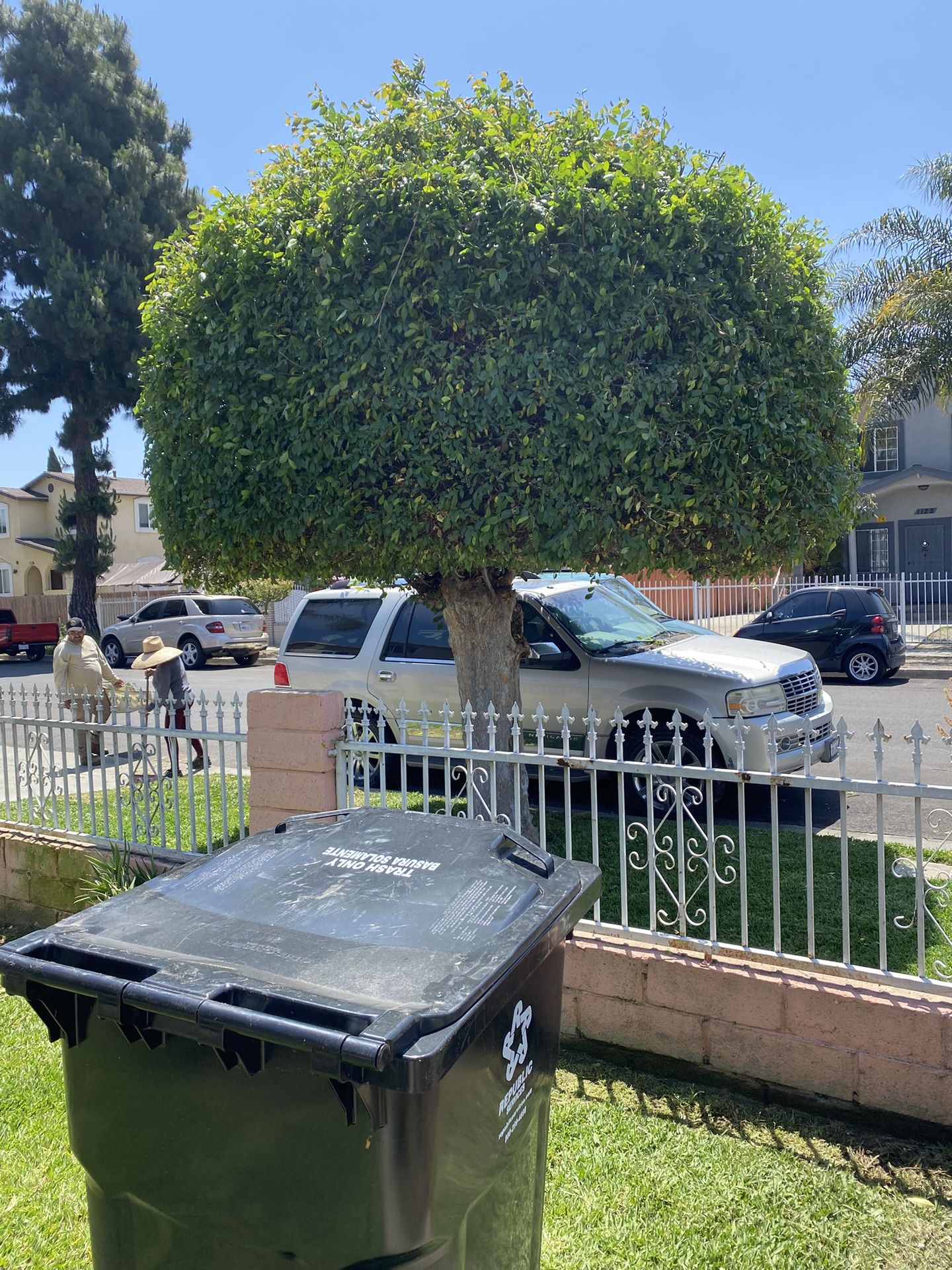 Jardinero