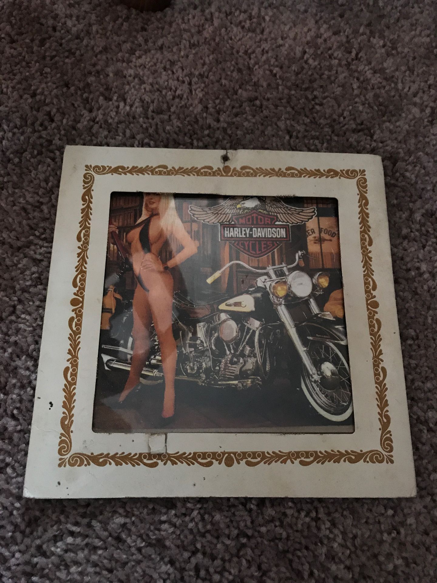 Harley Davidson picture