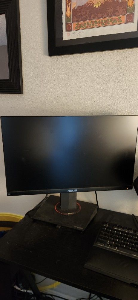 Asus Computer Monitor 144Hz