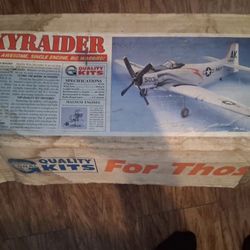 Sky raider Air Plane 