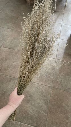 Dried Flowers