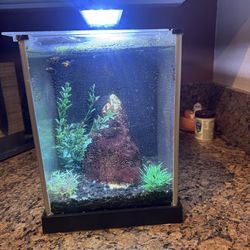 Small desktop fish tank
