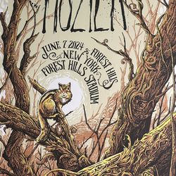 Hozier poster