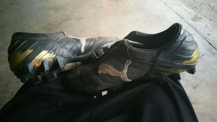 Pumas Men 7.5