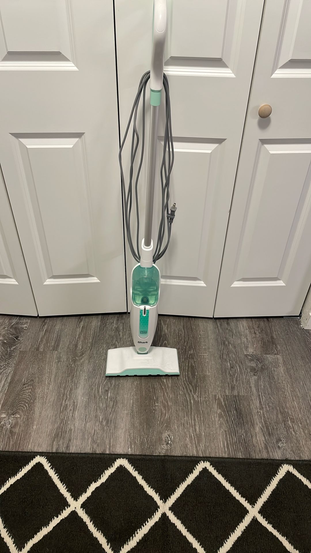 Steam Mop