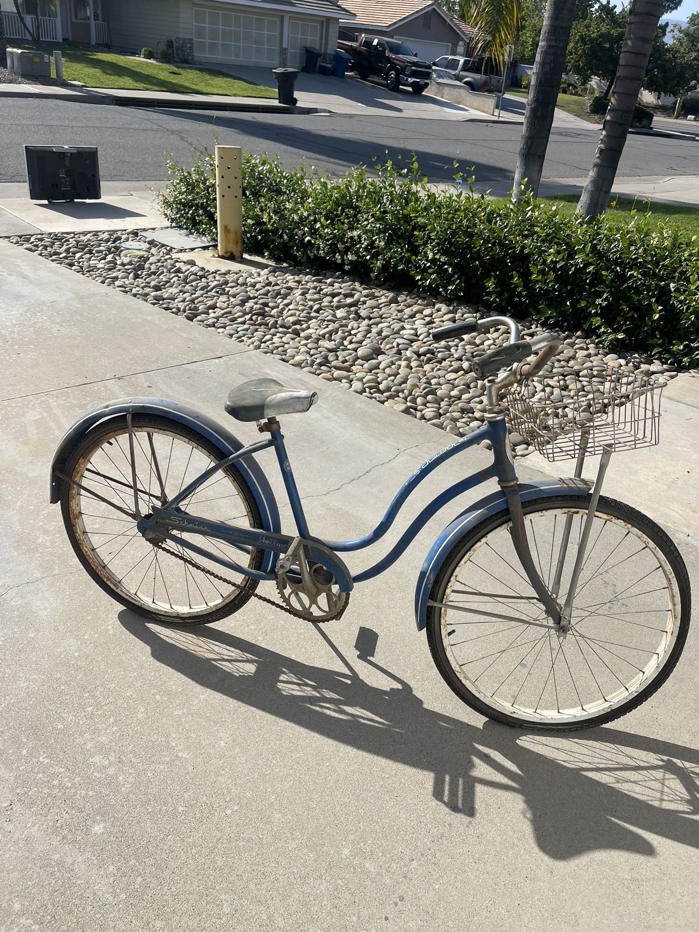 Schwinn Hollywood 24” Girls Bike
