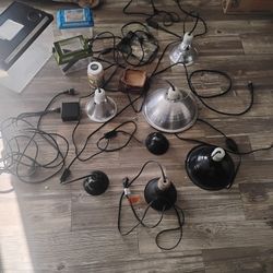 Reptile Equipment 