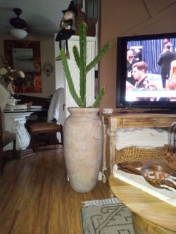 Large pot and cactus
