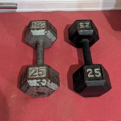 Dumbbell Weights 25 lb Pair