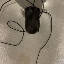Mouse 
