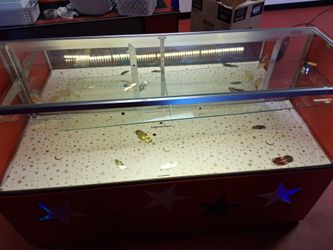 Glass Display Case with LED Lighting