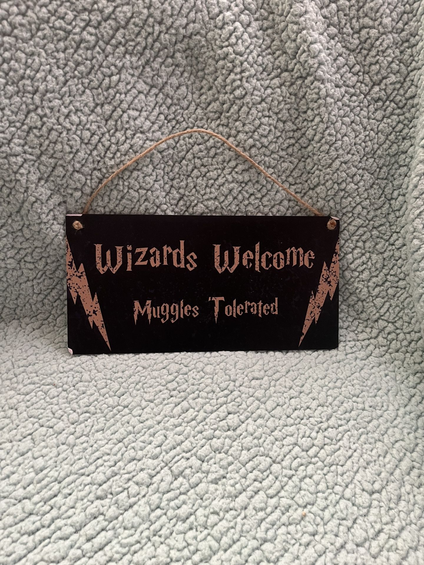 Harry Potter Door Sign