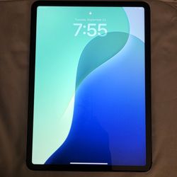 iPad Pro 11 Inch 256 GB 4th Gen (Unlocked) 