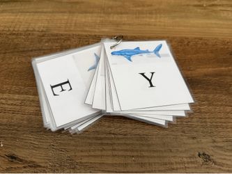 Laminated Flash Cards