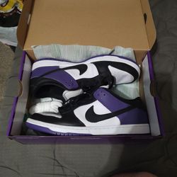 Nike Sb Dunk Court Purples