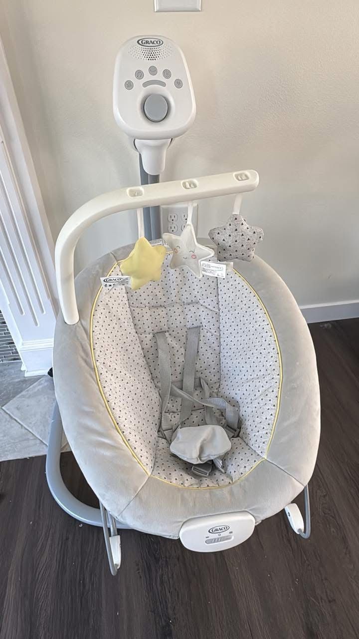Graco Infant Swing