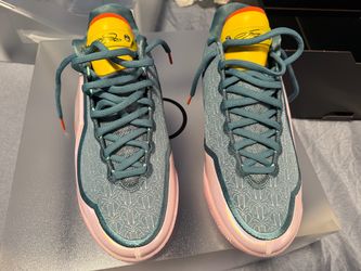 LeBron James Miami Twice