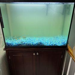 Fish Tank With Cabinet And Molly Fishes