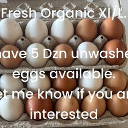 Eggs