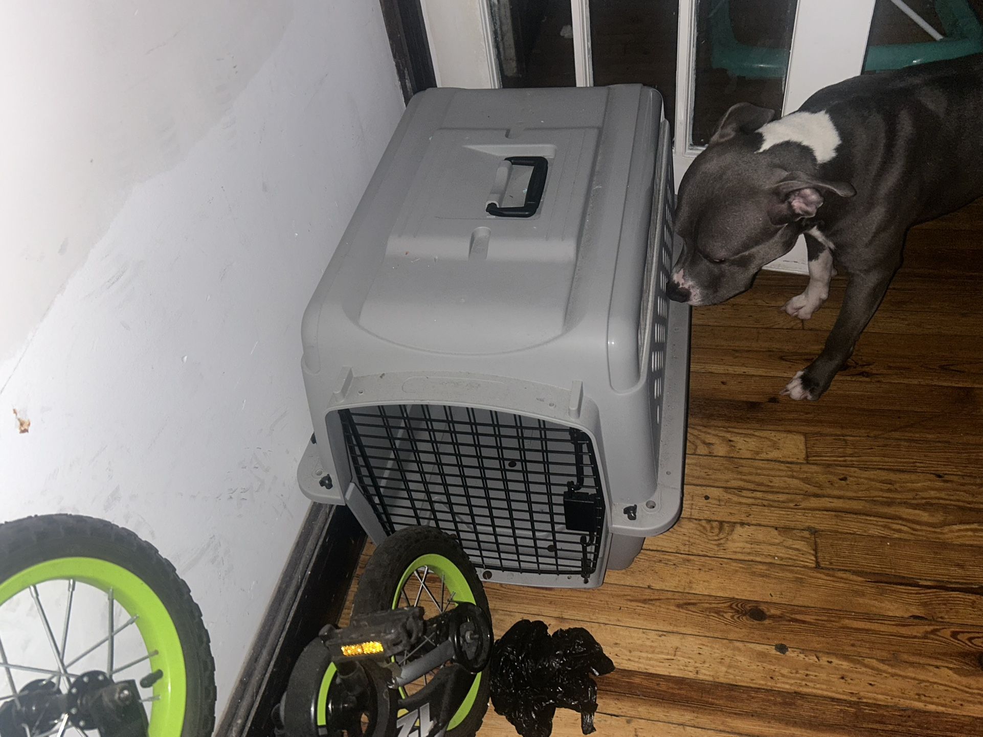 Doggie Carriage