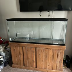 Large Tank And Stand 