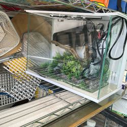 Fish Tank