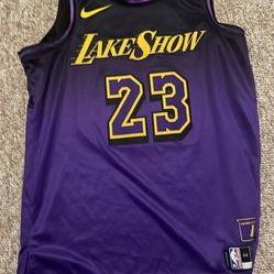 AUTHENTIC LeBron men’s m Nike Jersey Lake Show