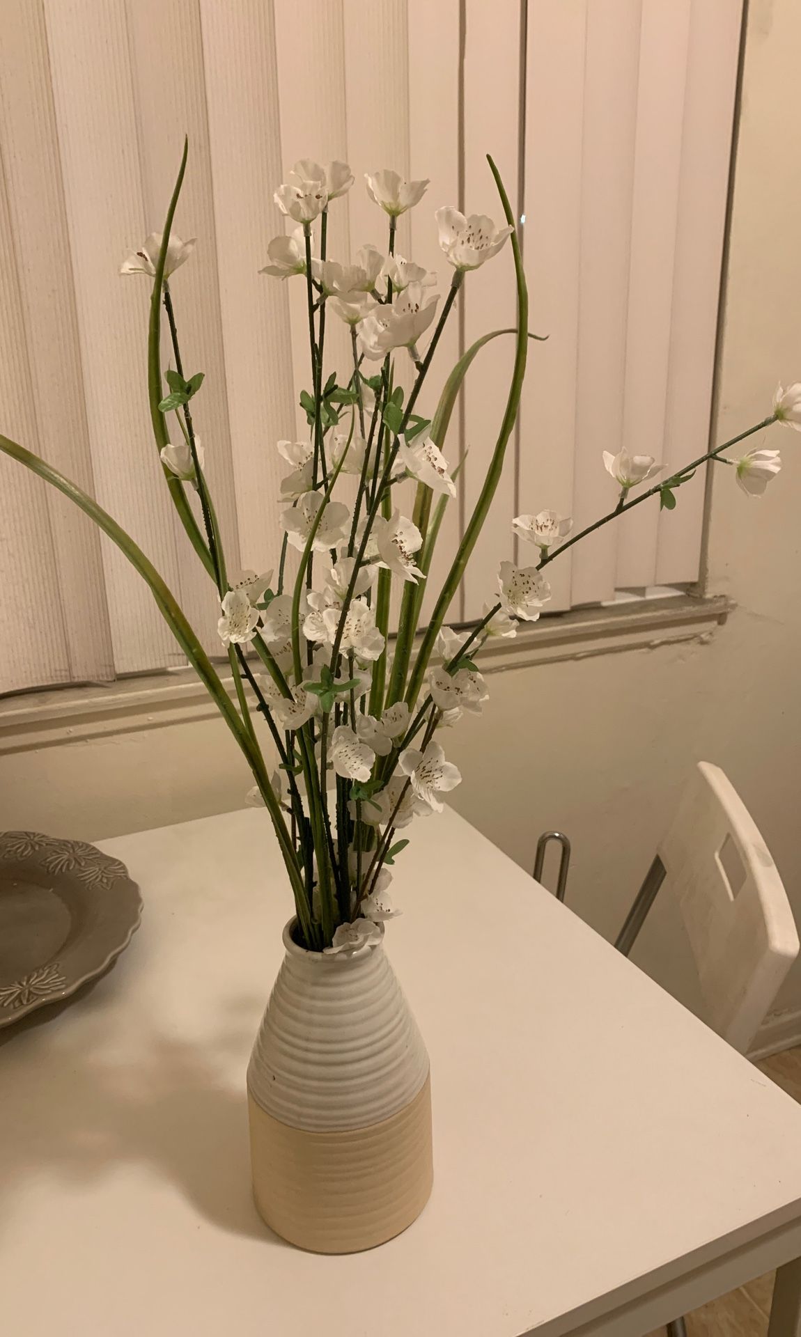 Home Decor Plant