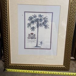 Florida Wall Decor Framed Art - 33”x27”