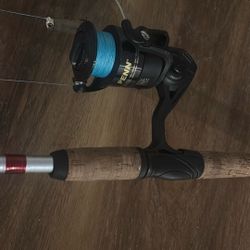 PENN WRATH 6000 SALTWATER SPINNING FISHING REEL WORKS AND LOOKS REELY GOOD