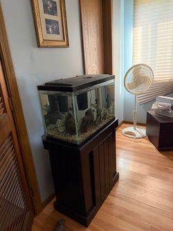 Aquariums