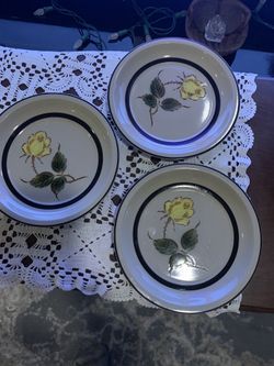 Rose Blosom Microwave To Freeze Salad Plates