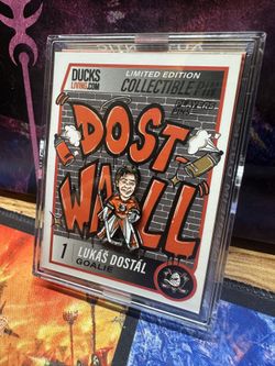 NHL Anaheim Ducks Lukas Dostal Collectible Pin Limited Release 