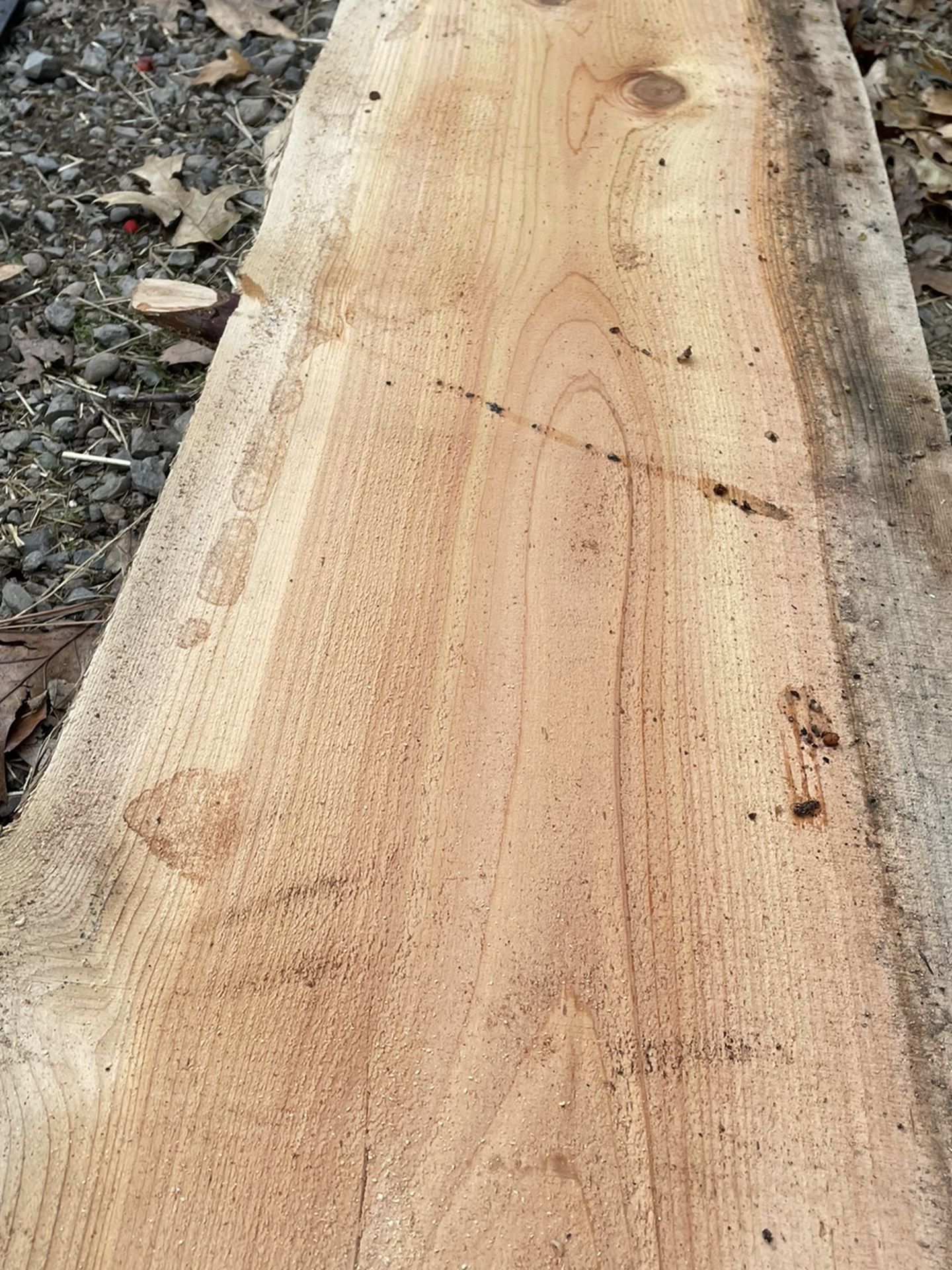 5 Cedar Live Edge Slabs Fir Shelving Etc