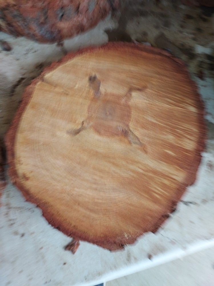 WOOD  SLICES!-..........