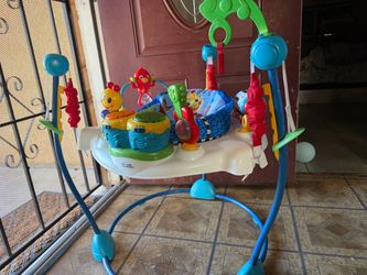 Baby Einstein Activity Jumper for boys
