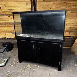 70 Gallon Tank With Stand