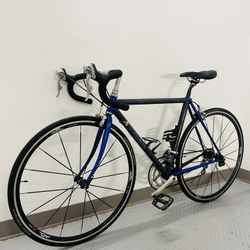 Beautiful Bicycle Trek Road Bike 