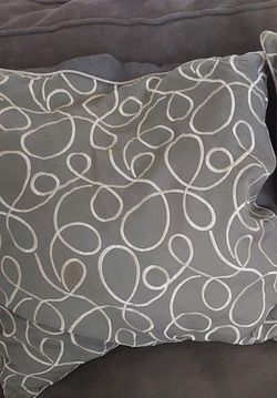 Two Decorative Pillows 