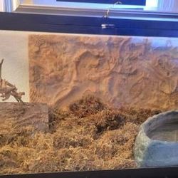 Terrarium 