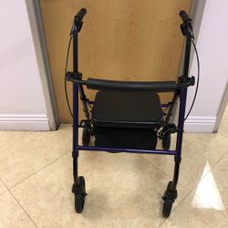 New Black And Purple Walker 