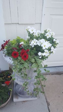 flowers for $ 60 each