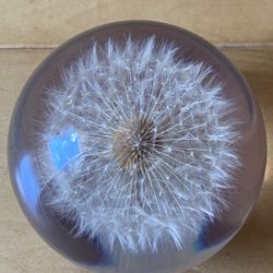 THE ORIGINAL COLLECTION 1993-VINTAGE/DANDELION IN CRYSTAL GLASS PAPERWEIGHT/DECOR (MADE IN GREAT BRITAIN)