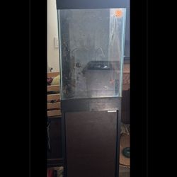 15 Gallon Aquarium 