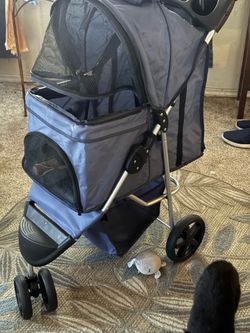 Doggie Stroller