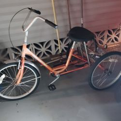 Three Wheel Bicycle 