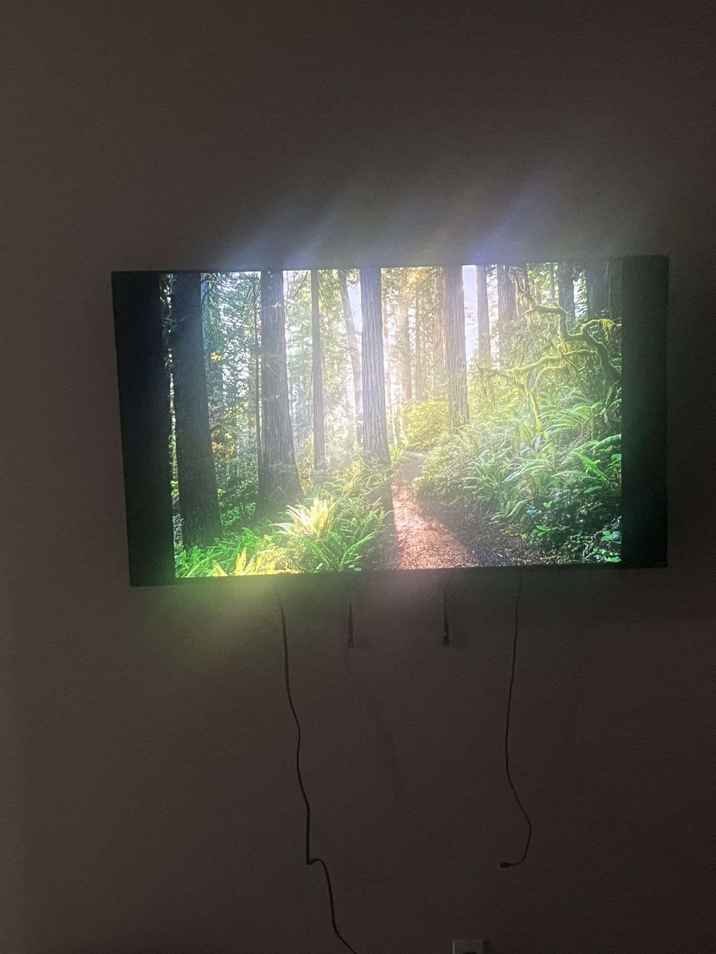 200 TCL Roku Tv/remote For Sale 