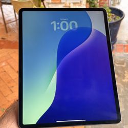 2020 iPad Pro 12.9” 4th Gen 256gb W/ ✏️ 