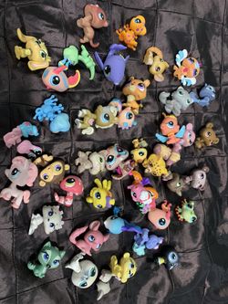 Pet shop